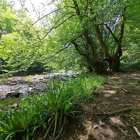 Ferienhaus Dröfter Blick *
