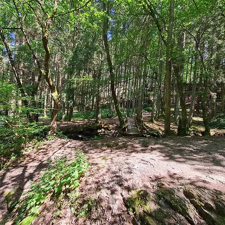 Dröfter Blick * Monschau