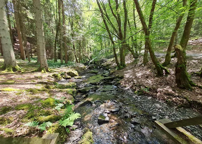 Holiday home Droefter Blick *