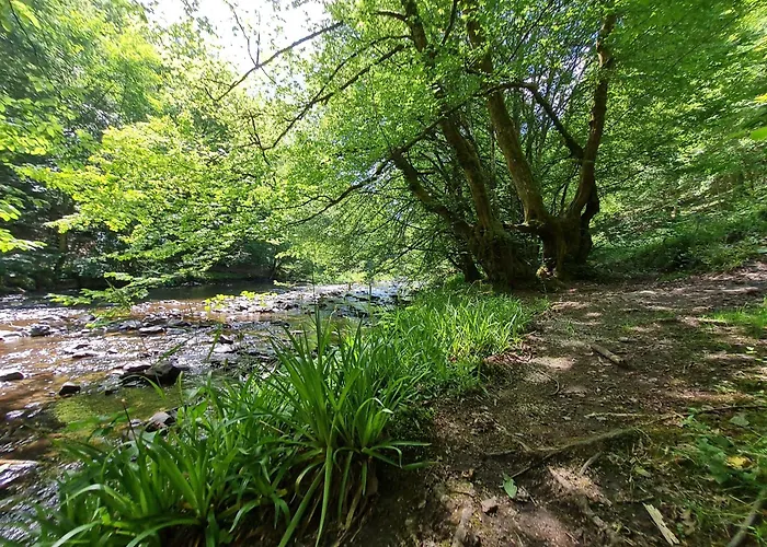 Σπίτι διακοπών Droefter Blick *