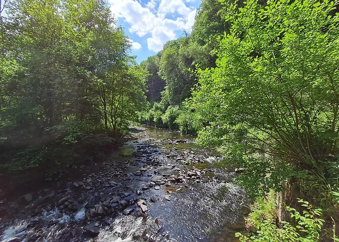 Droefter Blick Monschau